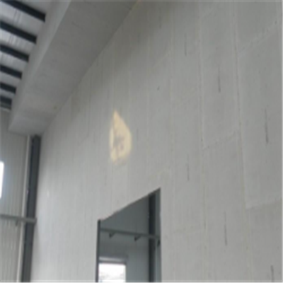 大邑新型建筑材料掺多种工业废渣的ALC|ACC|FPS模块板材轻质隔墙板